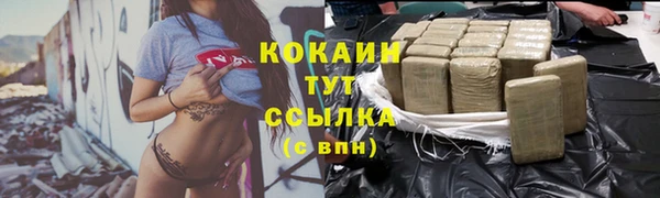 прущие грибы Балабаново