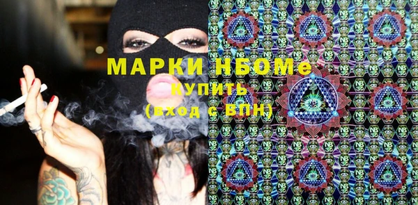 прущие грибы Балабаново