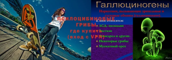 прущие грибы Балабаново